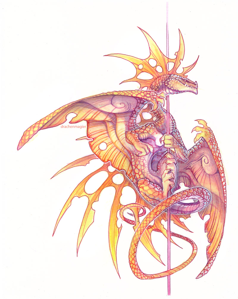 ambiguous_gender dancing feral membrane_(anatomy) membranous_wings notched_wings orange_body orange_scales pole pole_dancing scales simple_background solo tail torn_membrane white_background wings yellow_membrane drachenmagier mythology dragon mythological_creature mythological_scalie scalie traditional_media_(artwork)