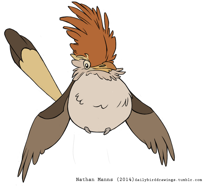 ambiguous_gender beak big_crest biped black_eyes black_text brown_beak brown_body brown_feathers brown_tail brown_tail_feathers brown_tail_tip brown_wings dipstick_beak dipstick_tail feather_tuft feathered_arms feathered_crest feathered_wings feathers featureless_crotch feral fluffy front_view head_crest long_tail long_tail_feathers looking_at_viewer markings monotone_crest monotone_wings multicolored_beak multicolored_body multicolored_feathers multicolored_tail multicolored_tail_feathers neck_tuft no_sclera orange_body orange_crest orange_feathers overweight overweight_ambiguous overweight_feral peru_beak separated_wing_tips simple_background sitting smile solo spread_arms spread_wings tail tail_feathers tail_markings tall_crest tan_body tan_feathers tan_tail tan_tail_feathers text toony tuft two_tone_beak two_tone_tail two_tone_tail_feathers wheat_sclera white_background winged_arms wings year yellow_beak yellow_tail jamminbison avian bird cuculiform guira_cuckoo 2014 artist_name digital_drawing_(artwork) digital_media_(artwork) flat_colors full-length_portrait portrait url