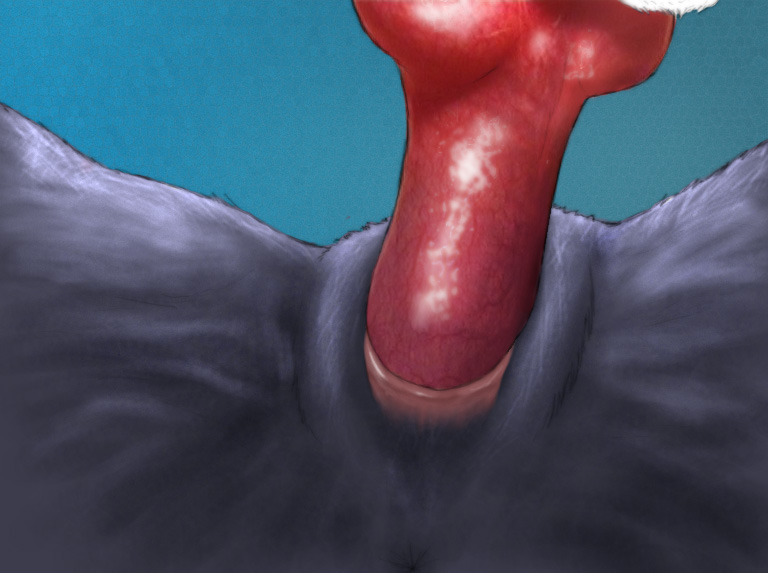 Vaginal Closeup 18