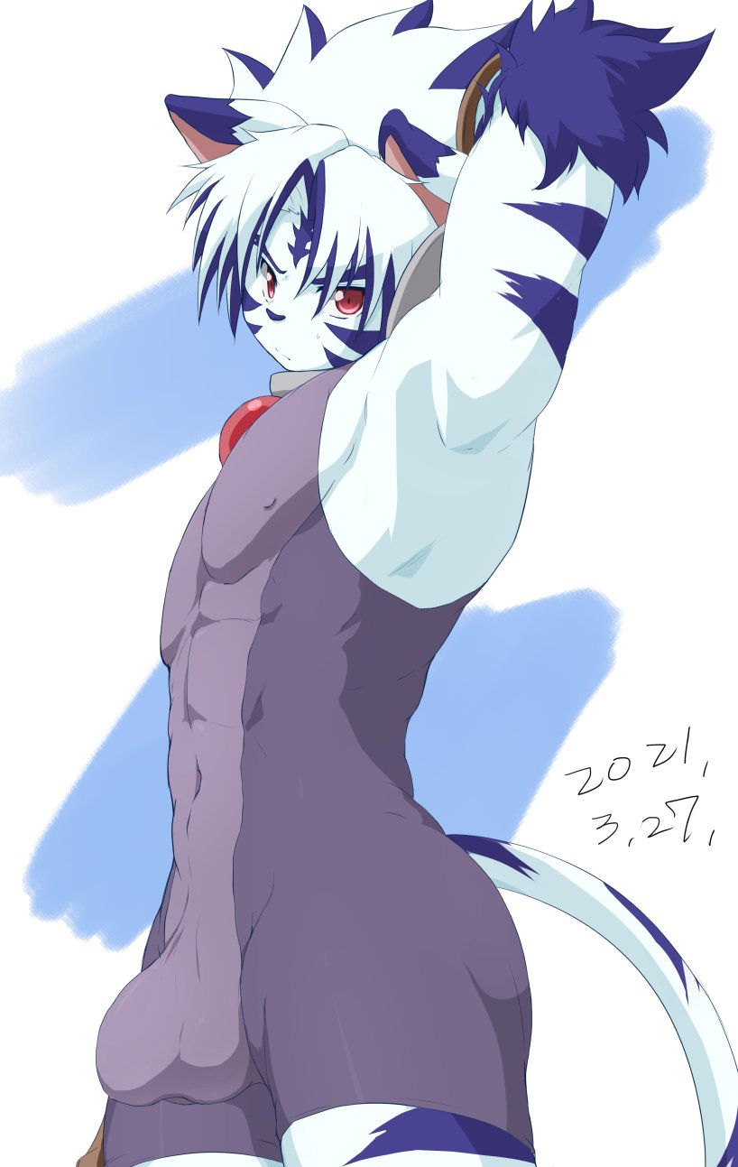 anthro armpit_focus athletic athletic_anthro athletic_male blue_body blue_ears blue_fur blue_hair blue_nose blue_stripes blue_tail bulge clothed clothing fur hair looking_at_viewer male multicolored_body multicolored_fur multicolored_hair nipple_outline purple_clothing red_eyes solo stripes tail two_tone_body two_tone_fur two_tone_hair two_tone_tail white_body white_ears white_fur white_hair white_tail chirasgi onmyou_taisenki kogenta_(onmyou_taisenki) felid mammal pantherine tiger 2021 dated hi_res