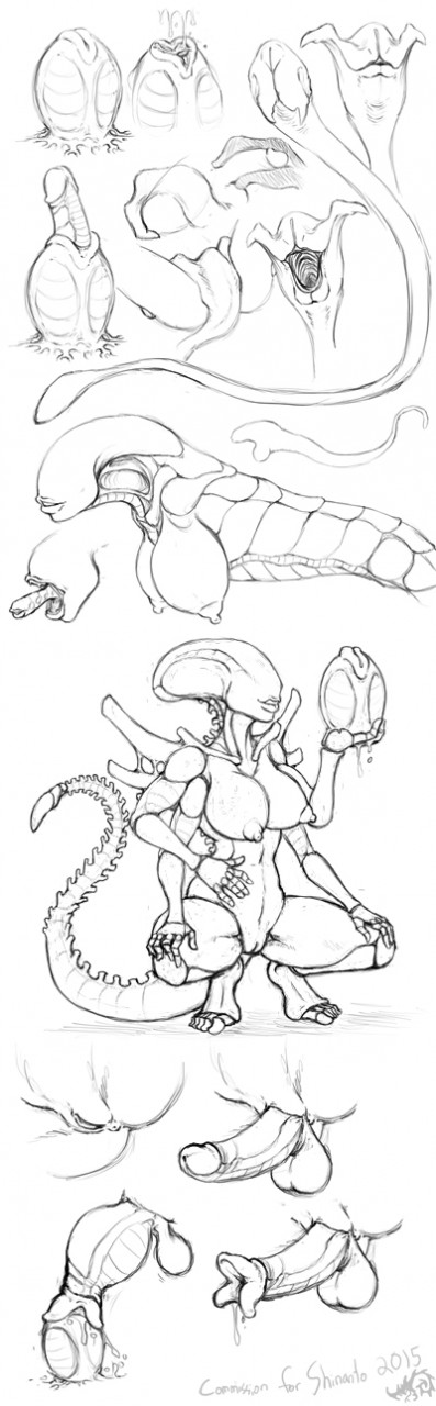 anus balls breasts butt crotchhugger egg erection genital_growth genitals growth herm intersex latching life_cycle multi_limb nipples not_furry oviposition ovipositor ovipositor_penis penis penis_growth penis_mouth pussy fleatrollus shinanto alien_(franchise) alien facehugger humanoid xenomorph xenomorph_queen hi_res monochrome sketch_page