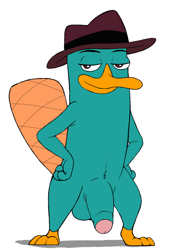 Platypus Penis 44