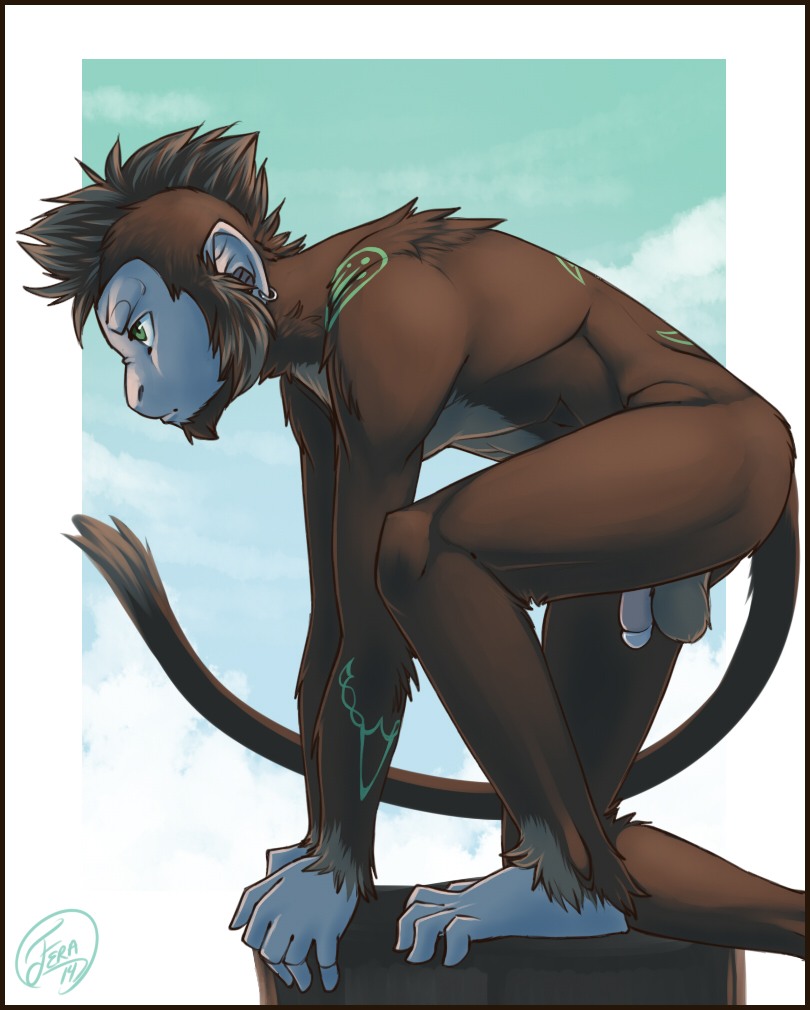 5_fingers anthro balls biped brown_body brown_fur ear_piercing ear_ring fingers flaccid fur genitals glans humanoid_genitalia humanoid_penis male penis piercing ring_piercing solo tail feralise solas_(lucentorb) haplorhine mammal monkey primate 2014