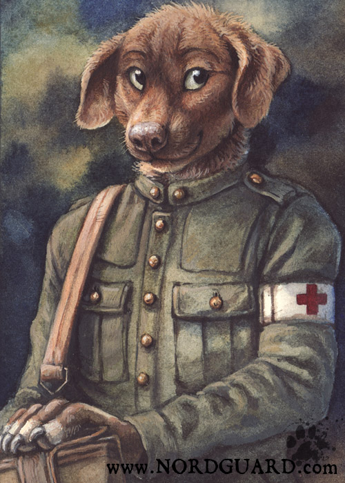 ambiguous_gender anthro black_eyes brown_body brown_fur clothed clothing field fur looking_at_viewer medic smile solo blotch nordguard james_mckay canid canine canis domestic_dog mammal 2012 detailed