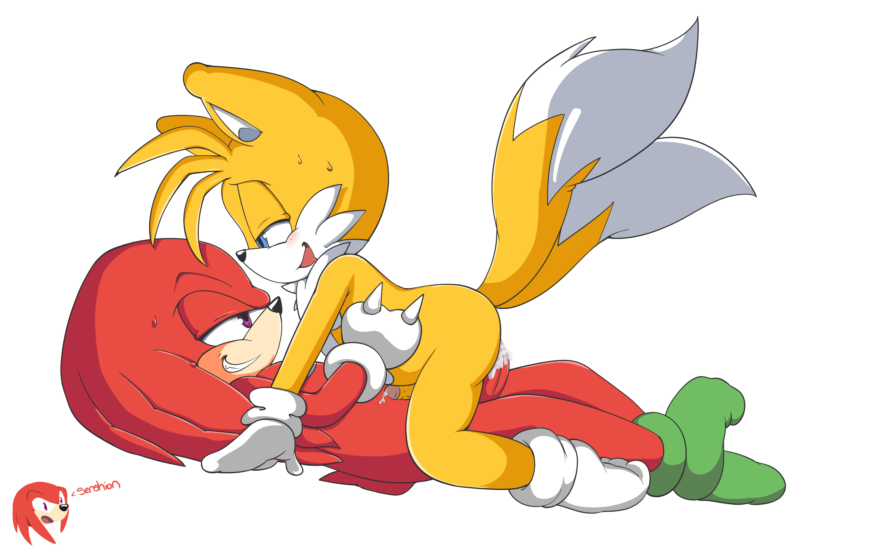 Sonic tails yaoi hentai фото 31