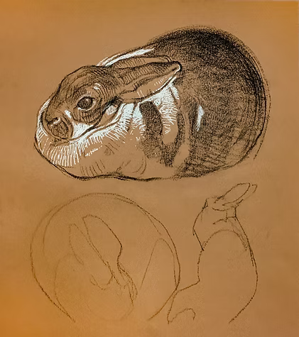 ambiguous_gender brown_background ears_back ears_down feral lying pivoted_ears simple_background solo geordie_millar lagomorph leporid mammal rabbit charcoal_(artwork) low_res sketch traditional_media_(artwork)