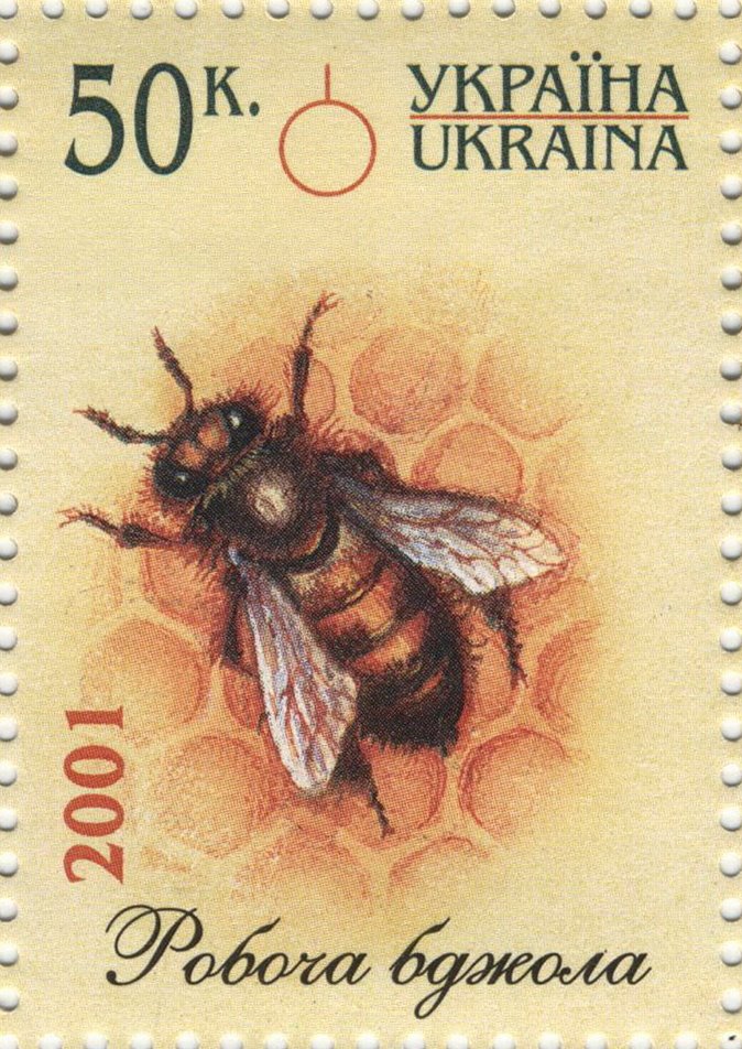 6_limbs ambiguous_gender antennae_(anatomy) arthropod_abdomen bird's-eye_view compound_eyes feral high-angle_view honeycomb insect_wings postage_stamp solo standing text wings unknown_artist public_domain arthropod bee hymenopteran insect 2001 dated traditional_media_(artwork) ukrainian_text