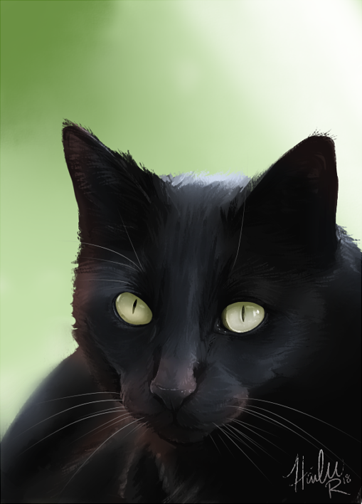 ambiguous_gender black_body black_fur black_nose feral fur simple_background solo whiskers taykoe domestic_cat felid feline felis mammal 2018 digital_media_(artwork)