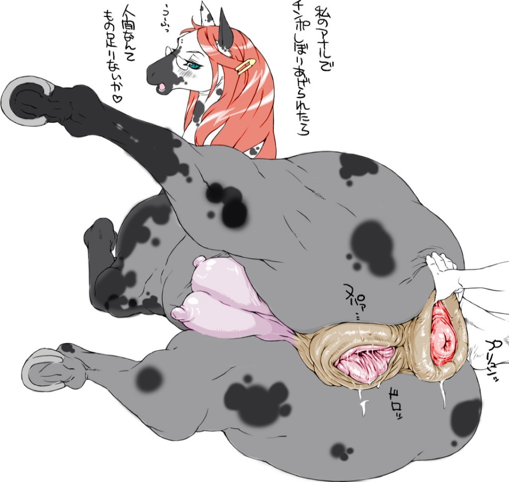 equine pussy 