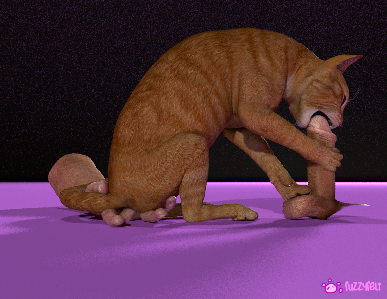 Man Cat Porn