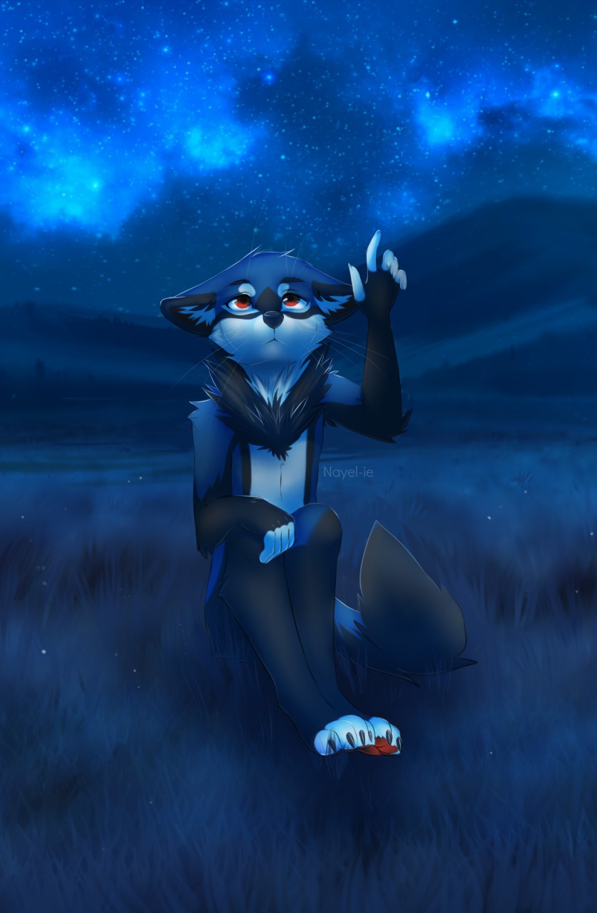 5_fingers anthro biped black_body black_fur blue_body blue_fur fingers fur grass male night orange_eyes outside plant sitting sky solo star starry_sky nayel-ie canid canine fox mammal 2017 digital_media_(artwork) hi_res