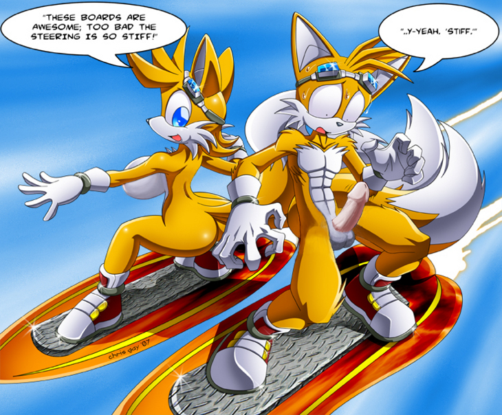 2_tails anthro crossgender duo erection female genitals humanoid_genitalia humanoid_penis male mostly_nude mtf_crossgender multi_tail penis sky skyscape tail text captricosakara chris_gay third-party_edit sega sonic_riders sonic_the_hedgehog_(series) miles_prower canid canine fox mammal 2007 english_text shopped