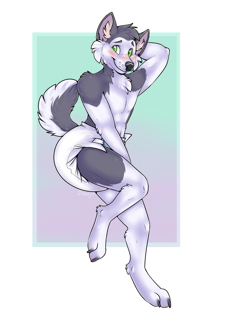 anthro blush clean_diaper clothed clothing diaper embarrassed male solo standing wearing_diaper dracky canid canine canis domestic_dog husky mammal nordic_sled_dog spitz watermark