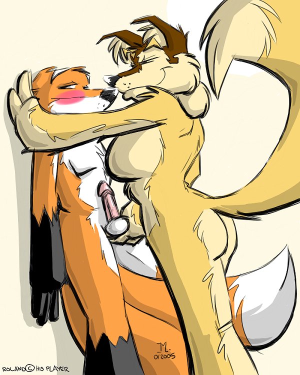 anthro ball_fondling balls blush dipstick_tail duo erection female fondling genitals gloves_(marking) male male/female markings nude penis pinned slightly_chubby standing tail tail_markings emmm charly canid canine canis fox mammal wolf roland_(disambiguation) 4:5