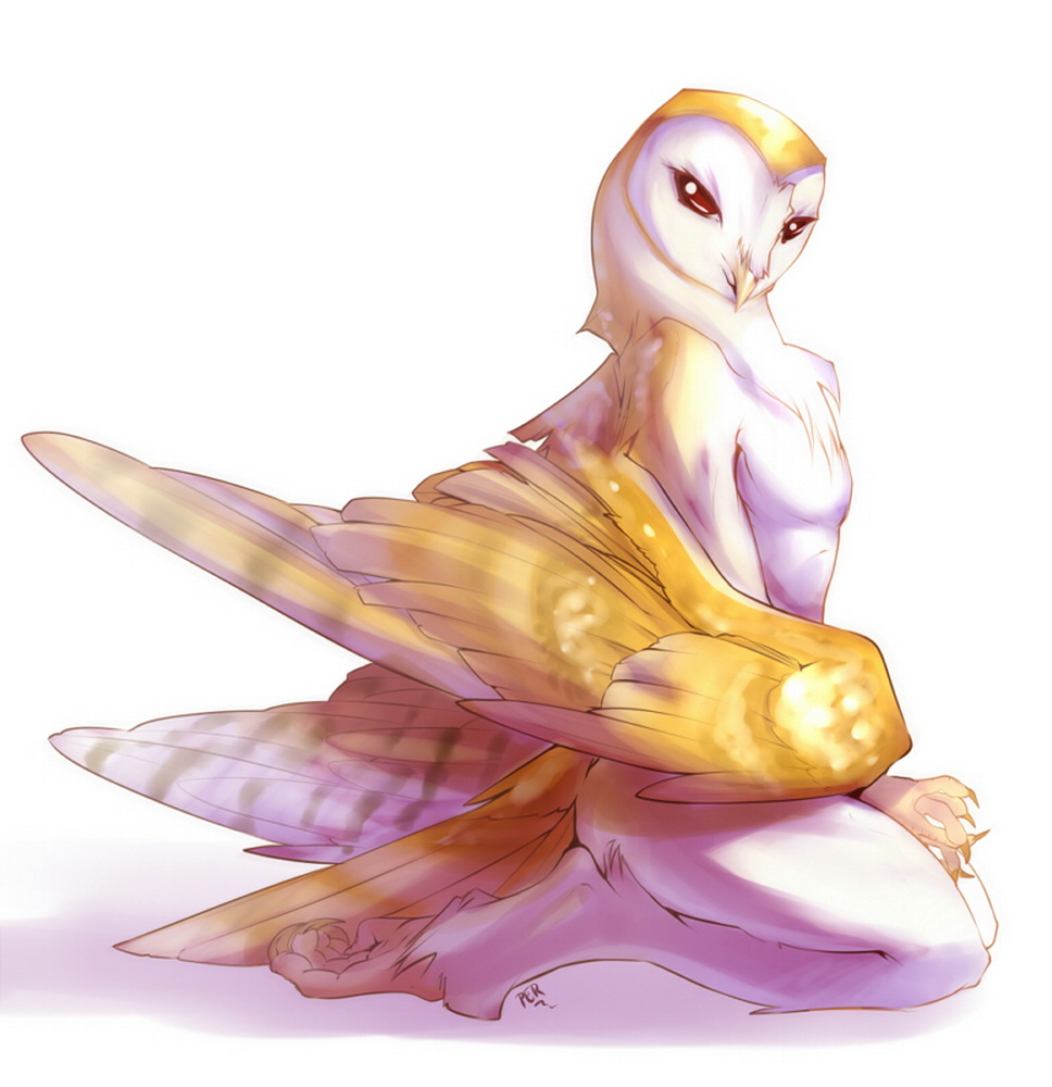 Erotic Owl Erotic Owl