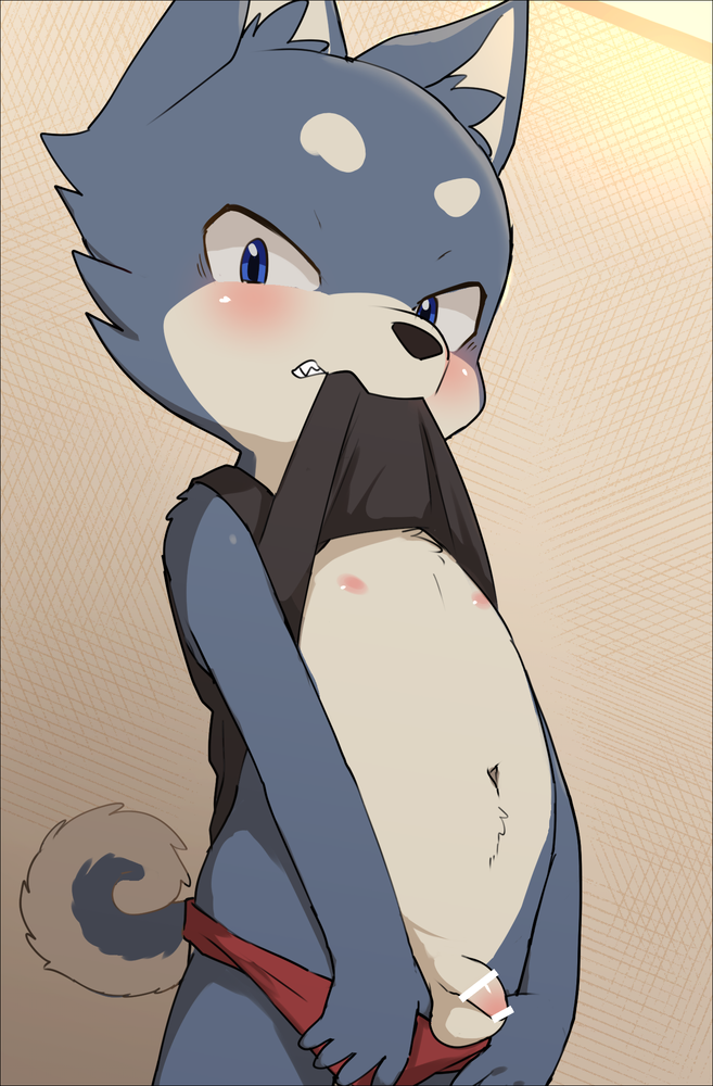 5_fingers anthro balls belly belly_tuft biting_clothing biting_shirt black_clothing black_nose black_shirt black_tank_top black_topwear blue_body blue_eyes blue_fur blush blushing_at_viewer chest_tuft clenched_teeth clothed clothing clothing_lift curled_tail embarrassed fangs fingers flaccid foreskin fur genitals looking_at_viewer male male_anthro multicolored_body multicolored_fur navel nipples partially_clothed penis pink_nipples presenting presenting_balls presenting_belly presenting_penis presenting_to_viewer raised_clothing raised_shirt raised_tank_top raised_topwear red_clothing red_underwear shirt shirt_lift solo standing tail tank_top teeth topwear tuft two_tone_body two_tone_fur two_tone_tail underwear underwear_down white_belly white_body white_chest young young_anthro young_male manmosu_marimo nino_inukai canid canine canis domestic_dog mammal 2024 censored