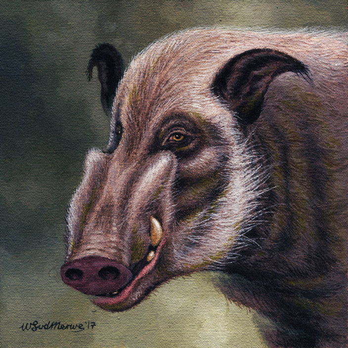 ambiguous_gender brown_background brown_body brown_eyes brown_fur brown_nose detailed_fur ear_tuft feral fur fur_tuft inner_ear_fluff light photorealism pig_nose shadow simple_background snout solo teeth tuft tusks yellow_teeth willemsvdmerwe bushpig mammal river_pig suid suina 1:1 2017 acrylic_painting_(artwork) brown_theme detailed headshot_portrait icon lighting painting_(artwork) portrait signature traditional_media_(artwork)