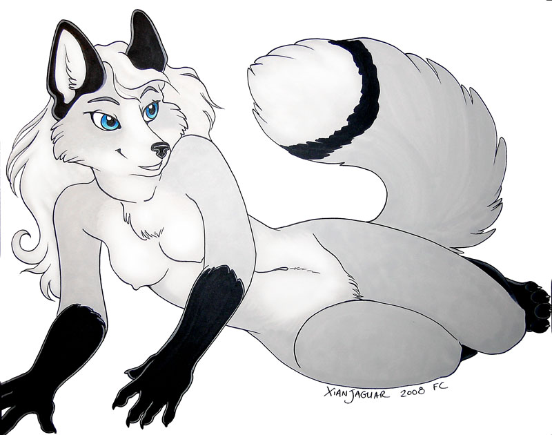 anthro blue_eyes female fur hair nipples nude simple_background solo tail white_background white_body white_fur white_hair xianjaguar casidhevixen casidhe arctic_fox canid canine fox mammal true_fox 2008 greyscale monochrome signature spot_color