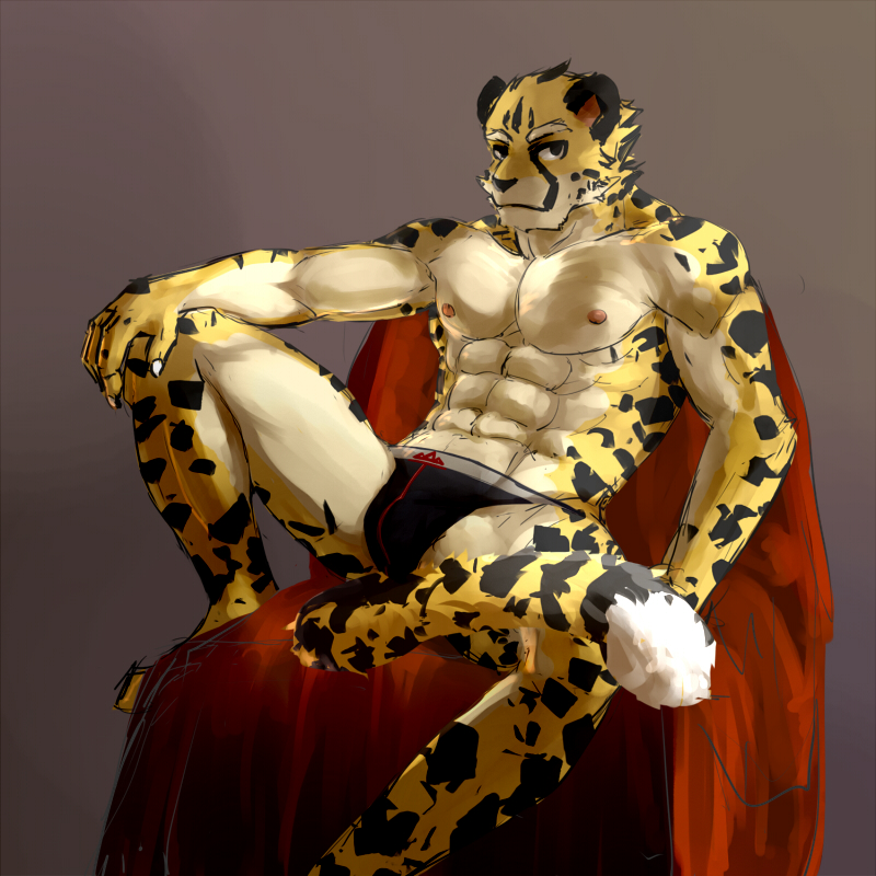 abs anthro biceps big_muscles biped black_body black_fur briefs bulge clothed clothing fur looking_at_viewer male markings muscular muscular_anthro muscular_male nipples pecs pose sitting solo spots topless underwear white_body white_fur yellow_body yellow_fur ainro cheetah felid feline mammal 1:1