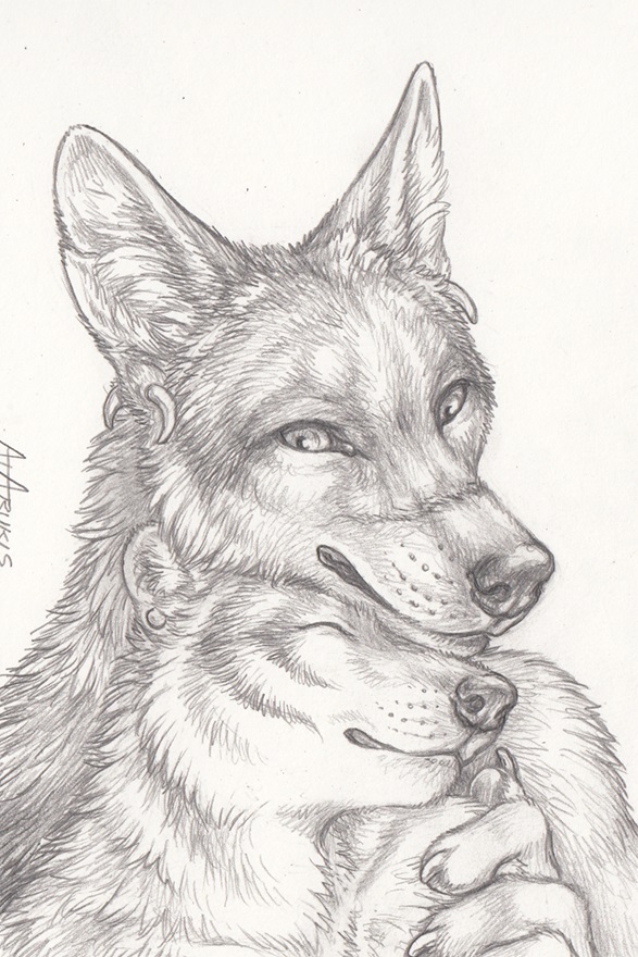 anthro claws cuddling detailed_fur duo ear_piercing eyes_closed fur looking_down male piercing romantic romantic_couple simple_background smile white_background rukis puquanah ransom arctic_fox canid canine canis coyote fox mammal true_fox 2015 detailed greyscale monochrome traditional_media_(artwork)