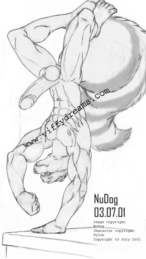 abs anthro athletic balls biceps big_penis bodily_fluids erection flexing foreskin fur genital_fluids genitals handstand humanoid_genitalia humanoid_penis male muscular muscular_anthro muscular_male nipples nude on_one_hand pecs penis plantigrade pose precum retracted_foreskin solo tail text upside_down vein veiny_penis nudog pylon_h._wolf alex_(pylon) mammal procyonid raccoon 2001 archived_source english_text greyscale monochrome