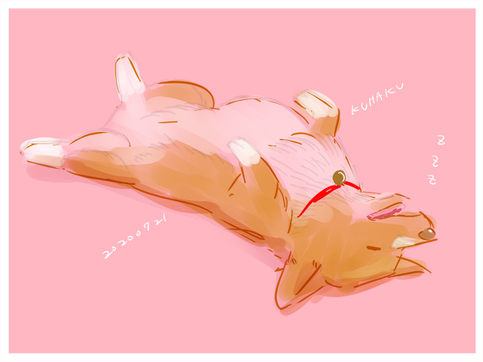 collar eyes_closed feral male on_ground red_collar simple_background sleeping solo sky_x_space cowboy_bebop ein_(cowboy_bebop) canid canine canis domestic_dog herding_dog mammal pastoral_dog welsh_corgi 4:3