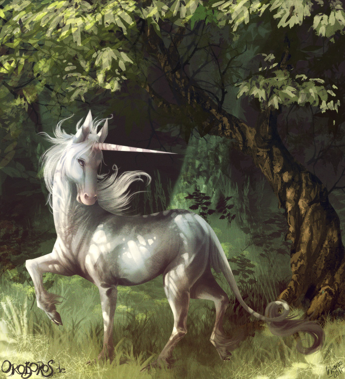 ambiguous_gender detailed_background feral forest grass hooves horn nature outside plant quadruped scenery sheeras solo tail tree wood nathradas mythology equid equine mammal mythological_creature mythological_equine unicorn 2011