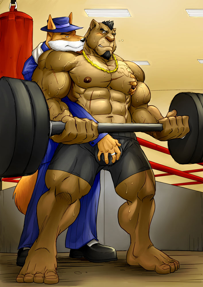 abs anthro athletic barbell barefoot beard biceps big_muscles black_hair blush bodily_fluids bottomwear brown_body brown_fur bulge clothed clothing duo exercise facial_hair feet footwear fur goatee grope hair hat headgear headwear holding_object jacket jewelry male male/male muscular muscular_male necklace nipples pants pec_grab pecs pose scar shoes shorts standing suit sweat tan_body tan_fur topless topwear vein weightlifting weights white_body white_fur workout maxima wolfplot don_leonardo john_dempsey canid canine canis felid fox lion mammal pantherine wolf 2014