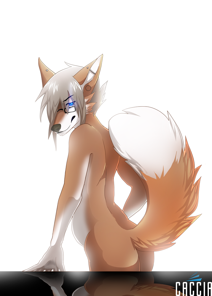 blue_eyes ear_piercing eyewear fur gauge_piercing glasses hair industrial_piercing male nude orange_body orange_fur piercing pose raised_tail standing tail white_body white_fur white_hair caccia foxxel canid canine canis fox mammal 2011