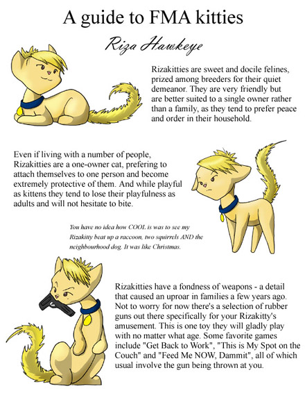 blonde_hair collar fake_gun female feral fur hair quadruped solo tail text yellow_body yellow_fur unknown_artist fmakitties fullmetal_alchemist riza_hawkeye domestic_cat felid feline felis mammal english_text