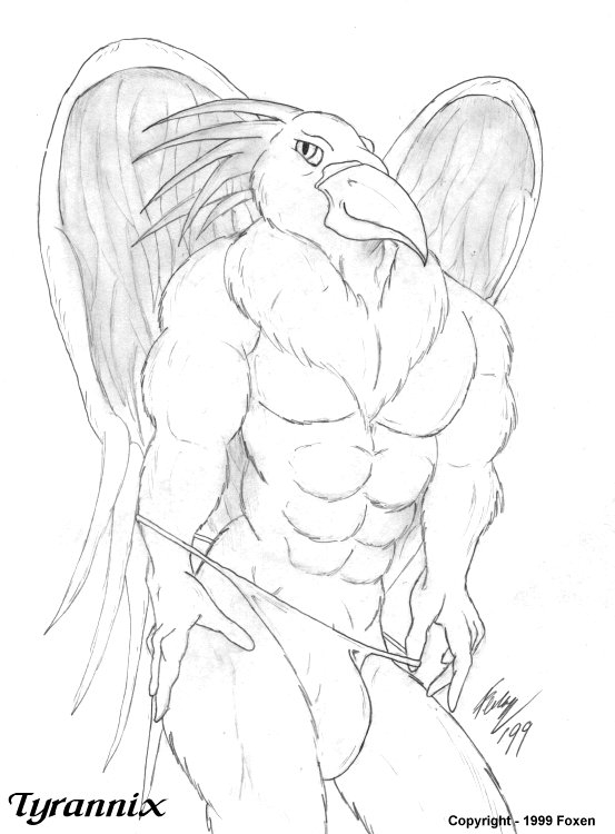 abs anthro big_bulge biped bulge chest_tuft clothed clothing hair male male_anthro muscular muscular_anthro muscular_male pecs solo speedo speedo_only spiky_hair swimwear topless tuft tyrannix_(foxen) undressing wings foxen avian 1999 graphite_(artwork) greyscale half-length_portrait monochrome portrait traditional_media_(artwork)