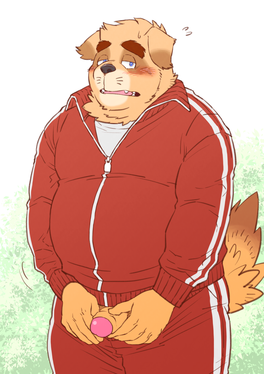 anthro blush bottomwear brown_body brown_fur clothing cute_fangs fangs fur genitals humanoid_hands kemono male overweight overweight_anthro overweight_male pants penis shirt solo teeth topwear ryuta-h third-party_edit canid canine canis domestic_dog mammal 2018 censor_removal_edit hi_res