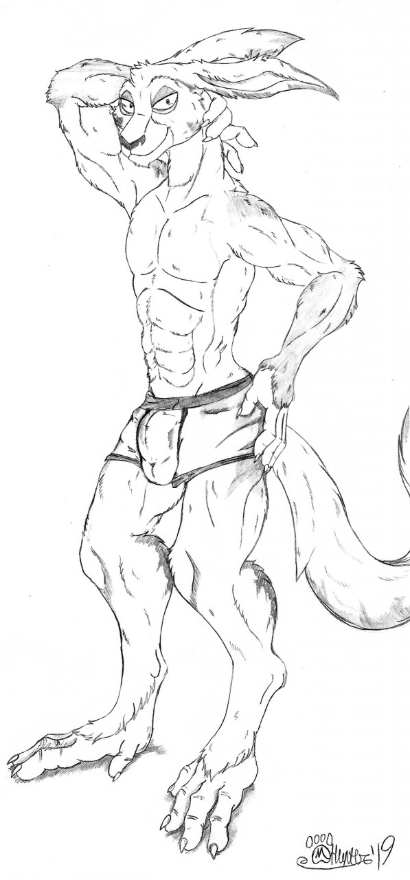 abs anthro balls_outline bulge claws clothed clothing detailed_bulge ears_back fur genital_outline half-closed_eyes hand_behind_head hand_on_hip looking_at_viewer male mouth_closed muscular muscular_anthro muscular_arms muscular_male narrowed_eyes pivoted_ears smile smiling_at_viewer solo standing toe_claws underwear underwear_only marcushunter storm_hawks radarr mammal 2019 hi_res signature