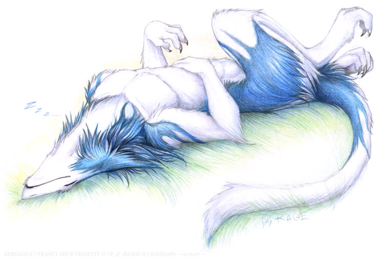 4_fingers 4_toes anthro biped blue_body blue_fur claws digitigrade eyes_closed feet fingers fur hand_on_belly lying male nude on_back side_view simple_background sleeping solo tail toes white_background raesheris mammal sergal