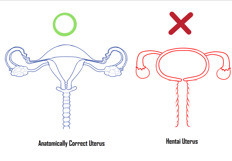 anatomically_correct anatomy cervix fallopian_tubes female genitals how-to not_furry organs ovaries pussy text the_more_you_know the_truth uterus zero_pictured crossman unknown_species biological_illustration english_text lol_comments technical_illustration