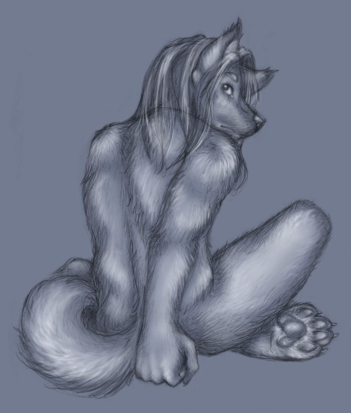 anthro biped crossed_legs feet hair hindpaw long_hair looking_at_viewer looking_back male nude paws rear_view simple_background sitting solo tail anakuro kuro_(anakuro) canid canine canis domestic_dog mammal wolf digital_media_(artwork) full-length_portrait graphite_(artwork) mixed_media monochrome portrait traditional_media_(artwork)