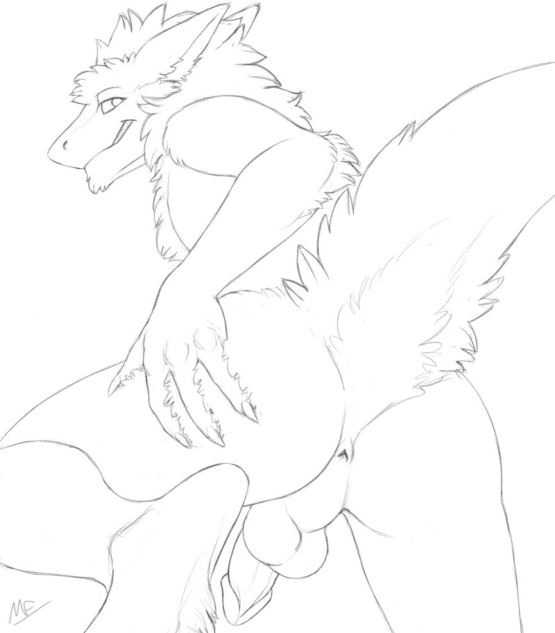 anthro anus balls butt butt_focus erection fur genitals hand_on_butt humanoid_genitalia humanoid_penis looking_at_viewer looking_back looking_back_at_viewer male nude penis presenting presenting_hindquarters raised_tail rear_view smile solo tail moodyferret xander_(earlpolar) sergal digital_media_(artwork) monochrome sketch