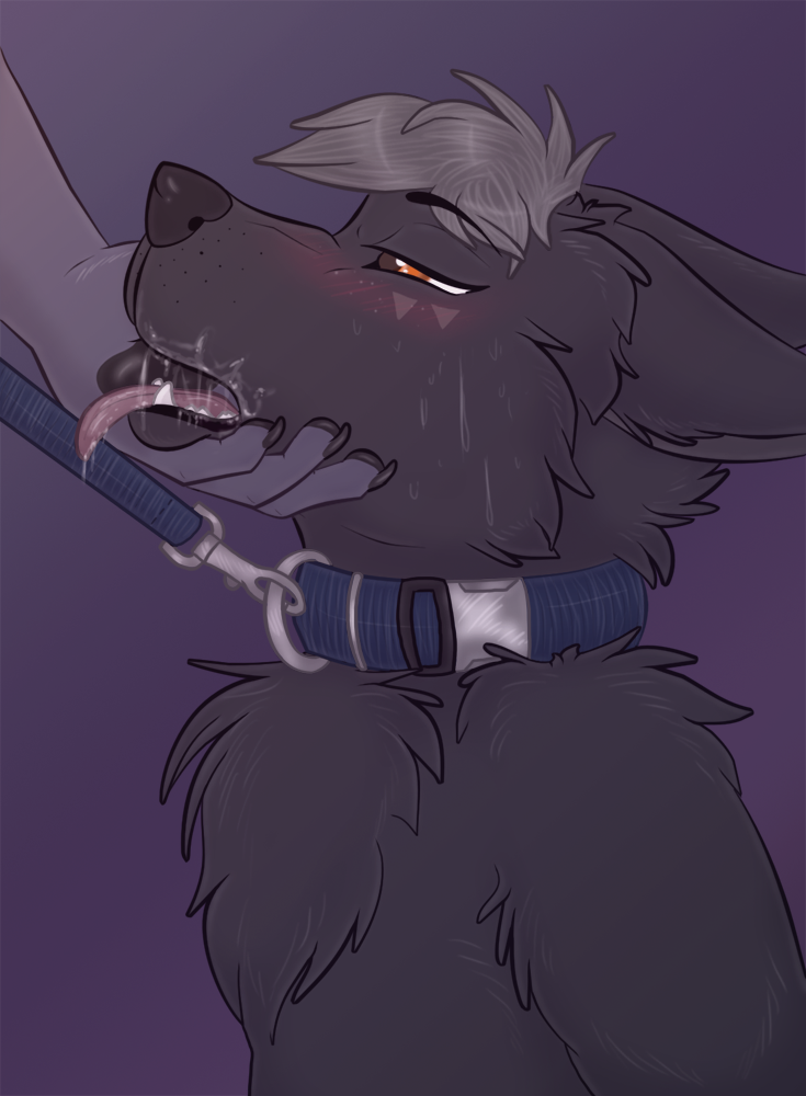 anthro bdsm black_body black_fur blush bodily_fluids collar duo fur genital_fluids grey_hair hair leash male messy orange_eyes petplay precum roleplay simple_background sweat tongue tongue_out lunar_epitaph canid canine canis mammal wolf