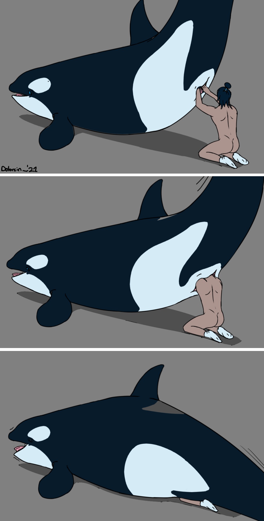 Orca pussy