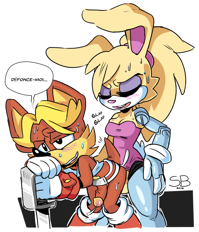 Showing Porn Images for Sonic bunnie rabbot porn | www ...