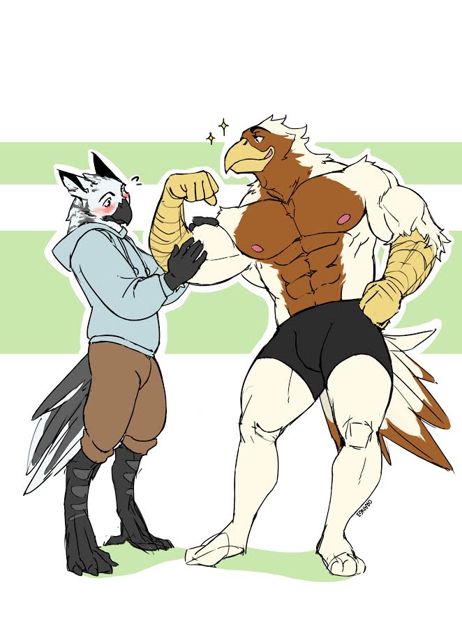 abs anthro beak biceps big_muscles black_body black_fur blush bottomwear brown_body brown_fur clothed clothing duo feathers feeling_muscles feet flexing fur hoodie kemono malaysian male male/male muscular nipples pecs pose shorts simple_background smile standing talons toes topless topwear white_body white_fur 0rang3 mythology nazaire turz avian bird gryphon mythological_avian mythological_creature owl