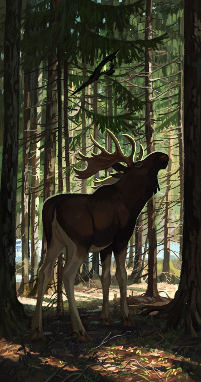 antlers brown_body brown_fur day detailed_background feral forest fur grass hooves horn male outside plant solo standing tree white_body white_fur geosaiko1267 deer mammal moose new_world_deer 2022 digital_media_(artwork) hi_res