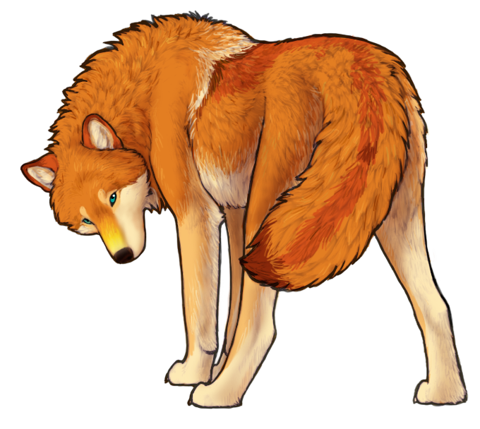 black_nose blue_eyes butt female feral fur looking_at_viewer orange_body orange_fur presenting presenting_hindquarters quadruped simple_background solo tail transparent_background white_body white_fur autumn_sunrise autie_(autumn_sunrise) canid canine canis mammal wolf 2010 alpha_channel female_(lore)