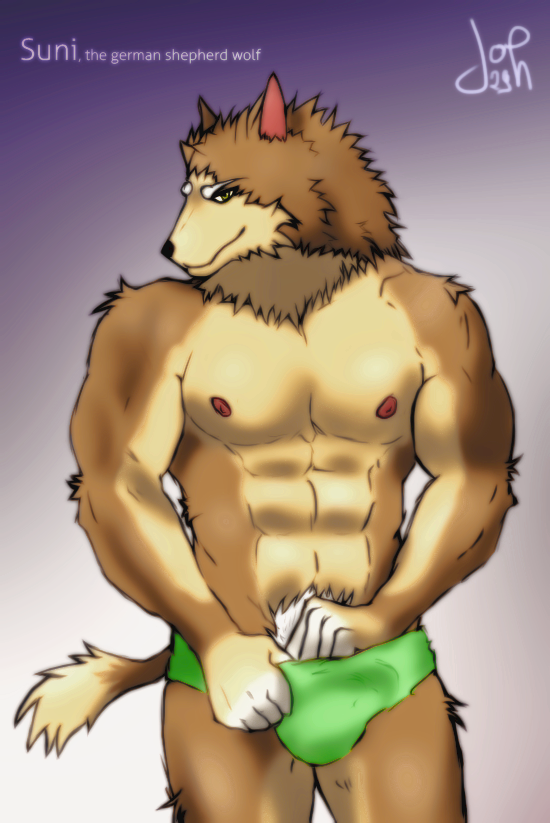 abs anthro biceps brown_body brown_fur bulge clothing fur green_eyes looking_at_viewer male muscular muscular_anthro muscular_male nipples pecs pose smile solo tail text underwear joh29 suni canid canine canis domestic_dog german_shepherd herding_dog hybrid mammal pastoral_dog wolf 2012 english_text