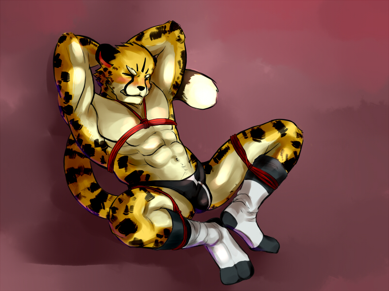 abs anthro bdsm blush bondage bound bulge clothing eyes_closed footwear hands_behind_head legwear male muscular muscular_anthro muscular_male socks solo speedo straining submissive submissive_male swimwear tail ainro cheetah felid feline mammal 4:3