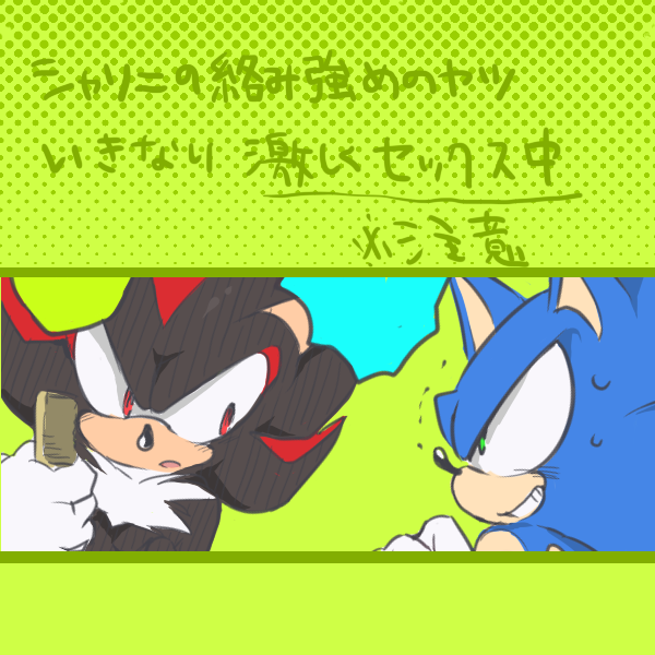 anthro bodily_fluids brush duo green_background grin hairbrush holding_object looking_at_another male simple_background smile sweat text nashi_(intothe_bluesky) sega sonic_the_hedgehog_(series) shadow_the_hedgehog sonic_the_hedgehog eulipotyphlan hedgehog mammal 1:1 cover cover_art cover_page japanese_text translation_request