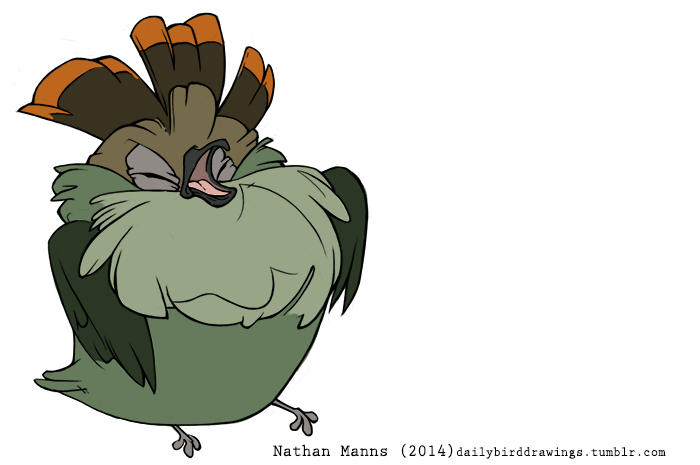 3_toes ambiguous_gender angry beak big_tuft biped black_beak black_text brown_body brown_crest brown_feathers dark_beak dark_text eyes_closed feather_tuft feathered_crest feathered_wings feathers featureless_crotch feet feral folded_wings green_body green_feathers green_tail green_tail_feathers green_wings grey_feet head_crest lidded_eyes light_tongue monotone_beak monotone_tail monotone_wings multicolored_body multicolored_crest multicolored_feathers narrow_legs neck_tuft open_beak open_mouth orange_body orange_crest orange_feathers pink_tongue short_tail simple_background solo tail tail_feathers text toes tongue toony tuft two_tone_crest white_background winged_arms wings year yelling jamminbison avian bird new_world_flycatcher new_world_suboscine passerine scale-crested_pygmy_tyrant suboscine tyrannid tyrant_flycatcher 2014 artist_name digital_drawing_(artwork) digital_media_(artwork) flat_colors full-length_portrait portrait url