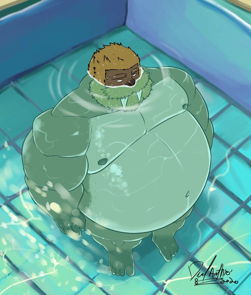 anthro beard belly big_belly brown_beard brown_body brown_facial_hair brown_hair facial_hair hair high-angle_view male muscular muscular_arms navel nipples obese obese_anthro obese_male overweight overweight_anthro overweight_male partially_submerged pecs pool solo swimming_pool tusks underwater water deadanthro henri_(deadanthro) mammal marine pinniped walrus 2020 signature