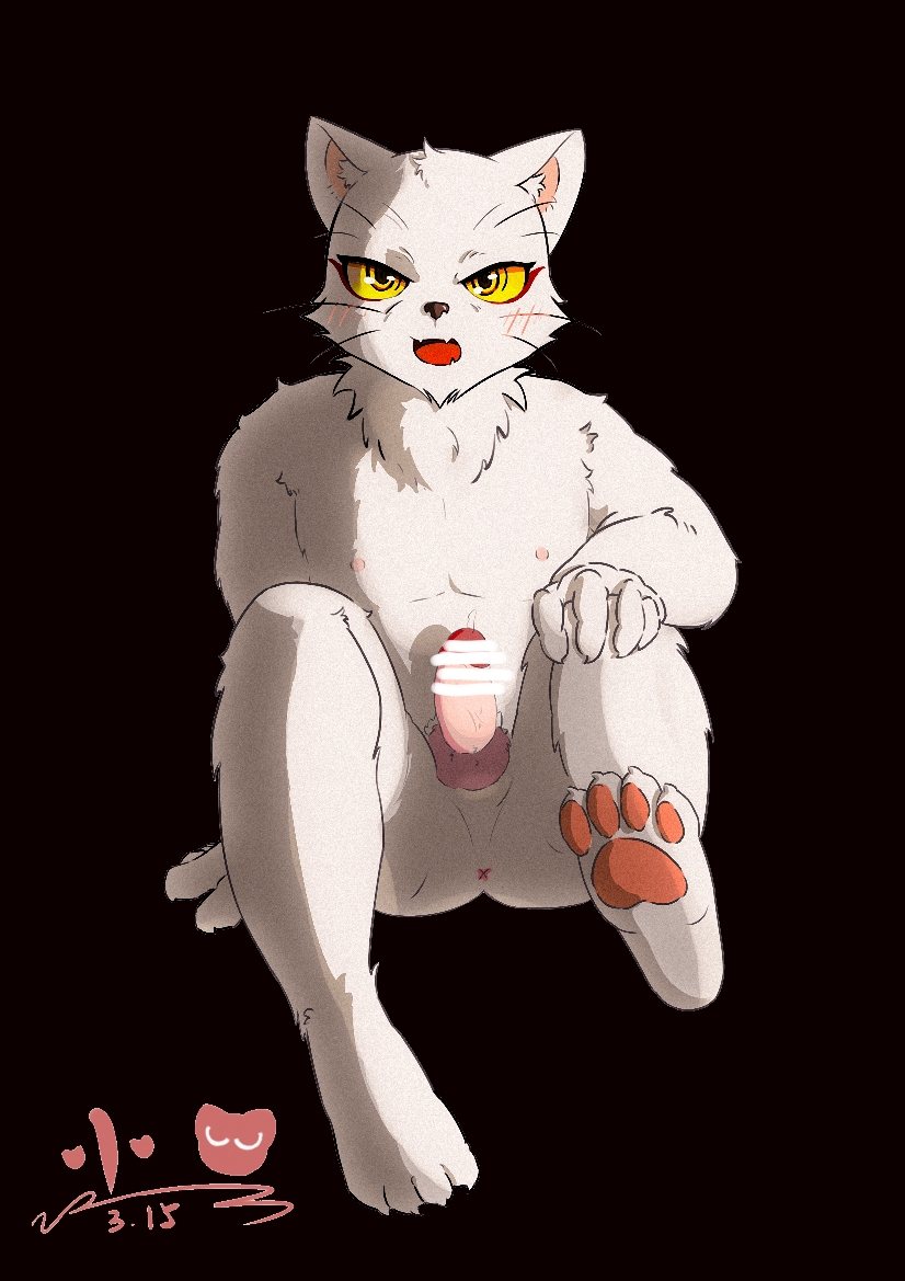 anthro anus aroused blush genitals interrupted_masturbation looking_at_viewer male nipples nude paws penis solo xiao_hei_xiao_hei_(artist) white_cat_legend li_bing_(white_cat_legend) domestic_cat felid feline felis mammal