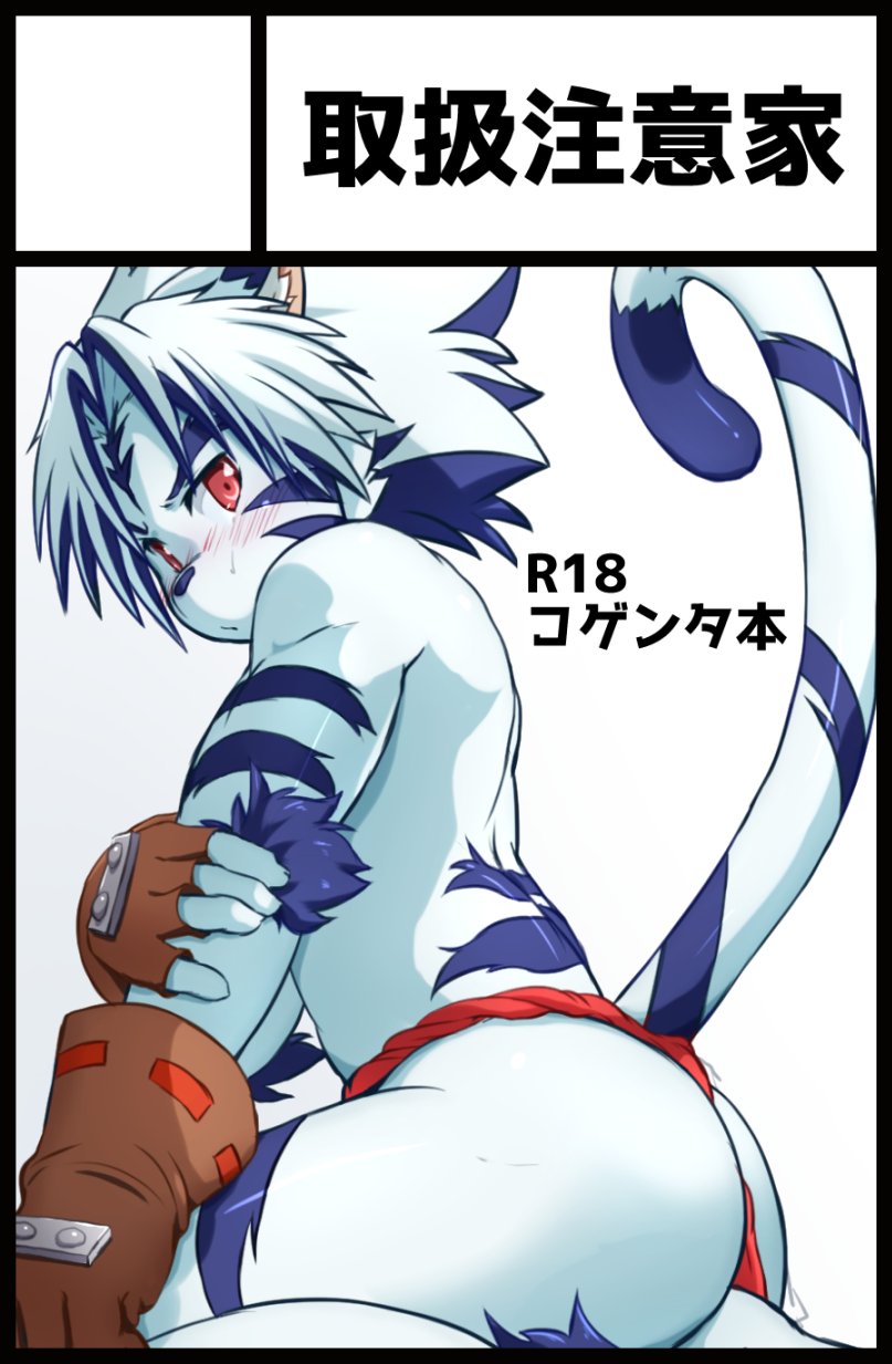 anthro asian_clothing blue_arms blue_body blue_ears blue_fur blue_hair blue_legs blue_stripes blue_tail blush brown_clothing brown_gloves brown_handwear butt clothed clothing east_asian_clothing fingerless_gloves fundoshi fur fur_tuft gloves hair handwear inner_ear_fluff japanese_clothing kemono markings multicolored_body multicolored_fur multicolored_hair red_clothing red_eyes red_fundoshi red_underwear solo striped_arms striped_body striped_markings striped_tail stripes tail tail_markings text topless tuft two_tone_body two_tone_fur two_tone_hair two_tone_tail underwear white_arms white_body white_butt white_ears white_fur white_hair white_inner_ear_fluff white_tail chirasgi onmyou_taisenki kogenta_(onmyou_taisenki) felid mammal pantherine tiger hi_res japanese_description japanese_text